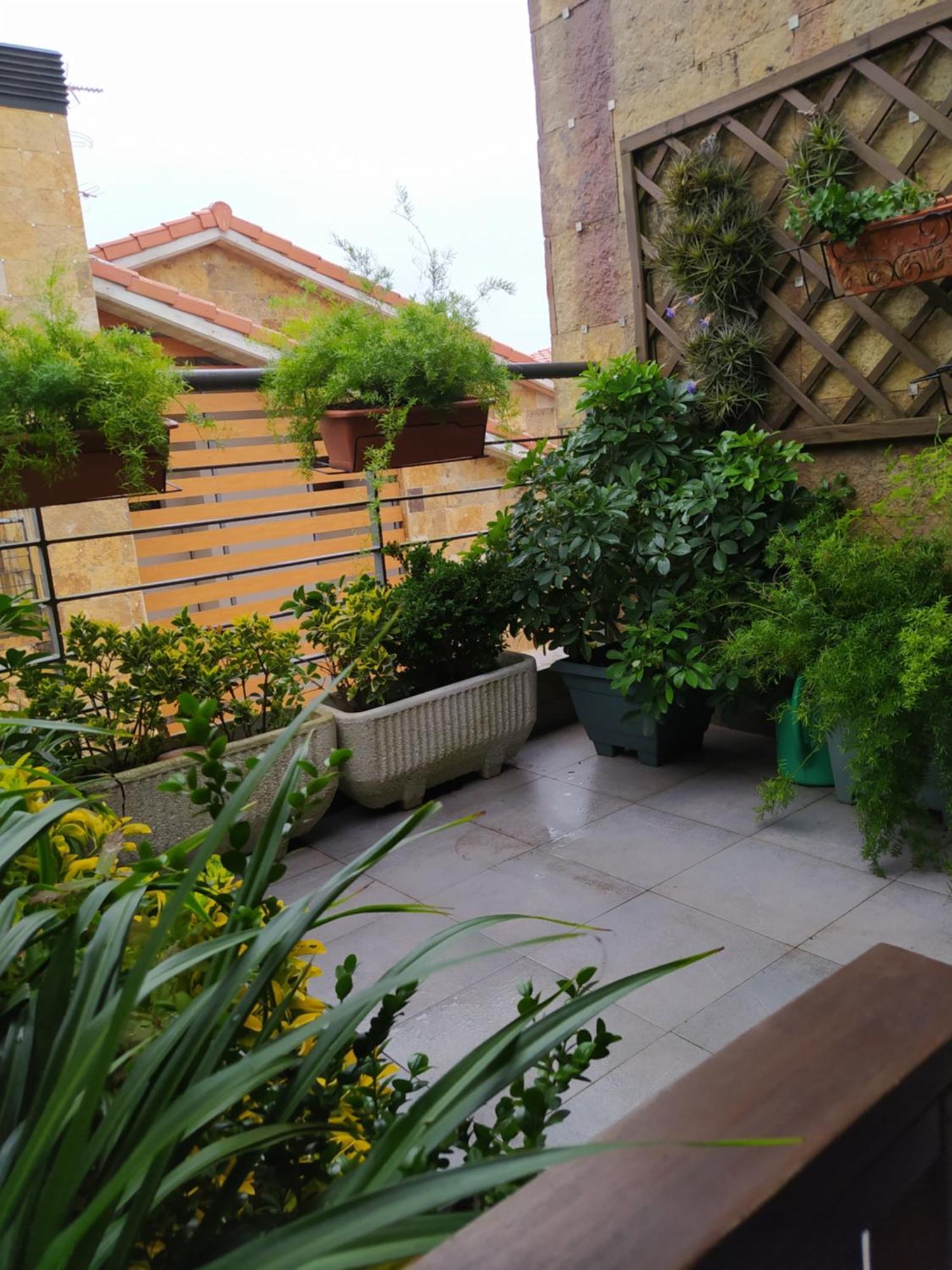 Habitaciones "El Boj" Colombres Exterior photo